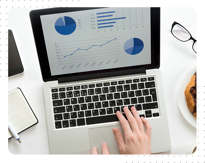 Website Audit